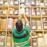 کاربر گیاهان دارویی|خدمات آموزشی|مشهد, احمدآباد|دیوار