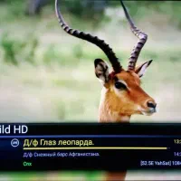 نصاب آنتن و نصب و فروش انواع آنتن