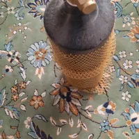 اکواریم پلنت