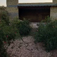 خانه-باغ