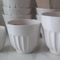 گلدان|گل و گیاه طبیعی|ویلکیج, |دیوار