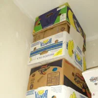 کارتون موزی