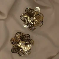 اکسسوری گوشواره