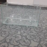 آکواریوم شیشه خم