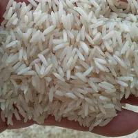 برنج هاشمی فریدونکنار|خوردنی و آشامیدنی|اصفهان, همدانیان|دیوار