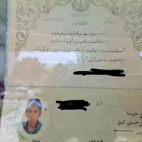 پیدا شده