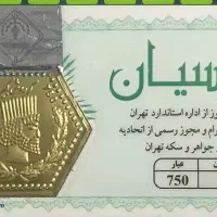 سکه پارسیان