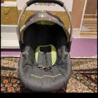 کریر هایک آلمان آغوشی اسب بازی