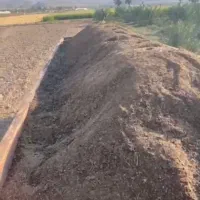 کود گوسفندی