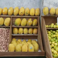 میوه فروشی