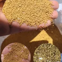 بذر یونجه و شبدر فوق العاده درجه یک