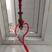 قلیان درخت گردو