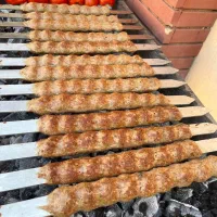 غذای خانگی ریحون در مشهد و گلبهار