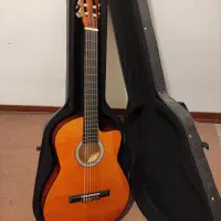 گیتار نو به همراه کارو