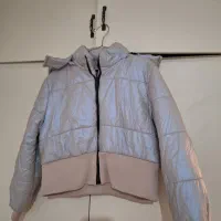 کاپشن تدی نو|لباس|کرج, ساماندهی|دیوار