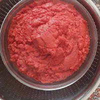 رب خانگی