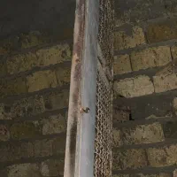 کفی و باربند و رینگو لاستیک پیکان وانت|قطعات یدکی و لوازم جانبی|یزد, |دیوار