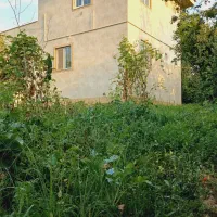 اجاره ویلا باغ سوئیت|اجارهٔ کوتاهمدت ویلا و باغ|شفت, |دیوار