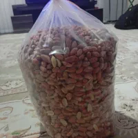 بادام زمینی