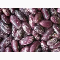 لوبیا چیتی ازبک 230 تومان