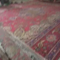 فرش ۱۲متری  ۹ متری ۶ متری|فرش|پاکدشت, پاکدشت (مامازند)|دیوار