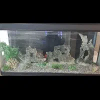 آکواریوم شیشه خم ۳میل