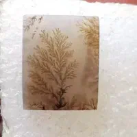 انواع نگین شجر قائن  و عقیق سوسنی|جواهرات|رشت, بازار|دیوار