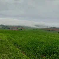 زمین مسکونی، کشاورزی،باغی،روستای آسیابر|فروش زمین و ملک کلنگی|دیلمان, |دیوار