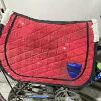 زین و دهنه