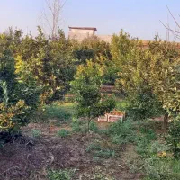 زمین باغی و خانه سرا