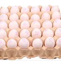 تخم مرغ مارکدار تاریخ روز