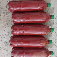 رب خانگی طبیعی