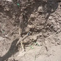 عیب یاب کابل