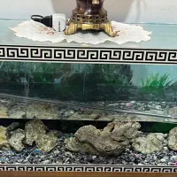 آکواریوم شیشه ای بزرگ کامل