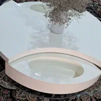 جلو مبلی  سالم و تروتمیز بدونه خرابی