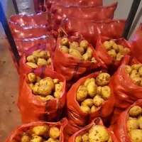 فروش100تن سیب زمینی درجه یک