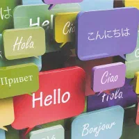 مدرس خصوصی زبان های خارجی (انگلیسی و چینی) آنلاین