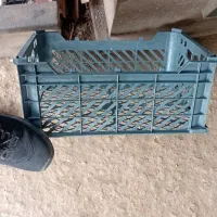 سبددوردیف۴۰۰گرم