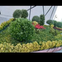 باغبانی و فضای سبز حرفه ای