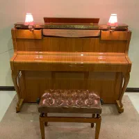 پیانو آکوستیک شیمل آباژور دار|پیانو، کیبورد، آکاردئون|تهران, ونک|دیوار
