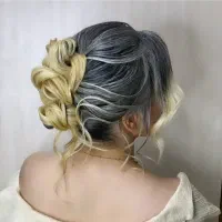 آموزش صفرتاصد شنیون