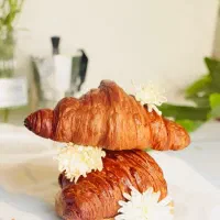 استخدام تولیدکننده محتوا