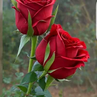 راهنمایی