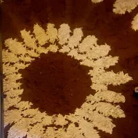 چند تخته فرش۹متری قهوه ای  و پادری و سالم