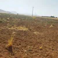 چاه عمیق کشاورزی اجاره ای|اجارهٔ دفتر صنعتی، کشاورزی، تجاری|دهگلان, |دیوار