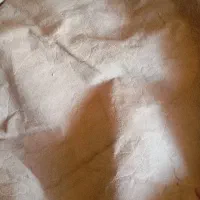موکت کرم رنگ