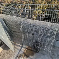 قفس کاسکو. ابعاد ۵۵/۵۵