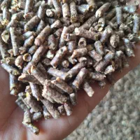 پــلت سویا معاوضه نقد و چک + خوش خوراک و مغذی