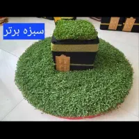 سبزه برتر|گل و گیاه طبیعی|اصفهان, دانشگاه اصفهان|دیوار