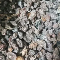 مویزآفتابی امسالی درجه 1|خوردنی و آشامیدنی|شیراز, دشت چنار|دیوار